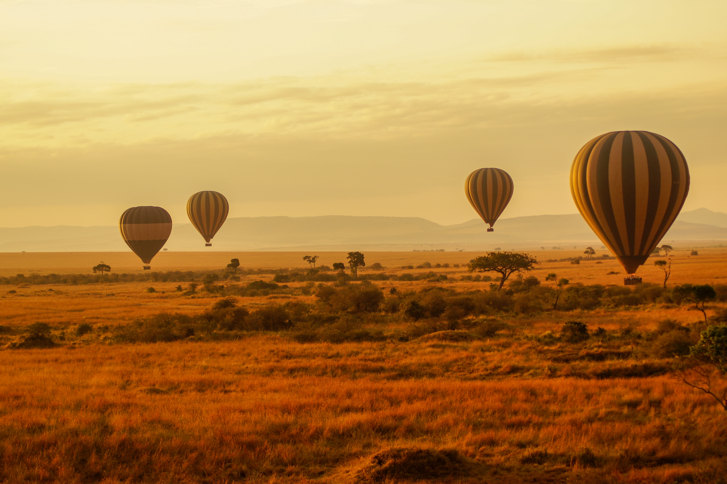 Air balloons during sunrise above Masai Mara in Kenya.