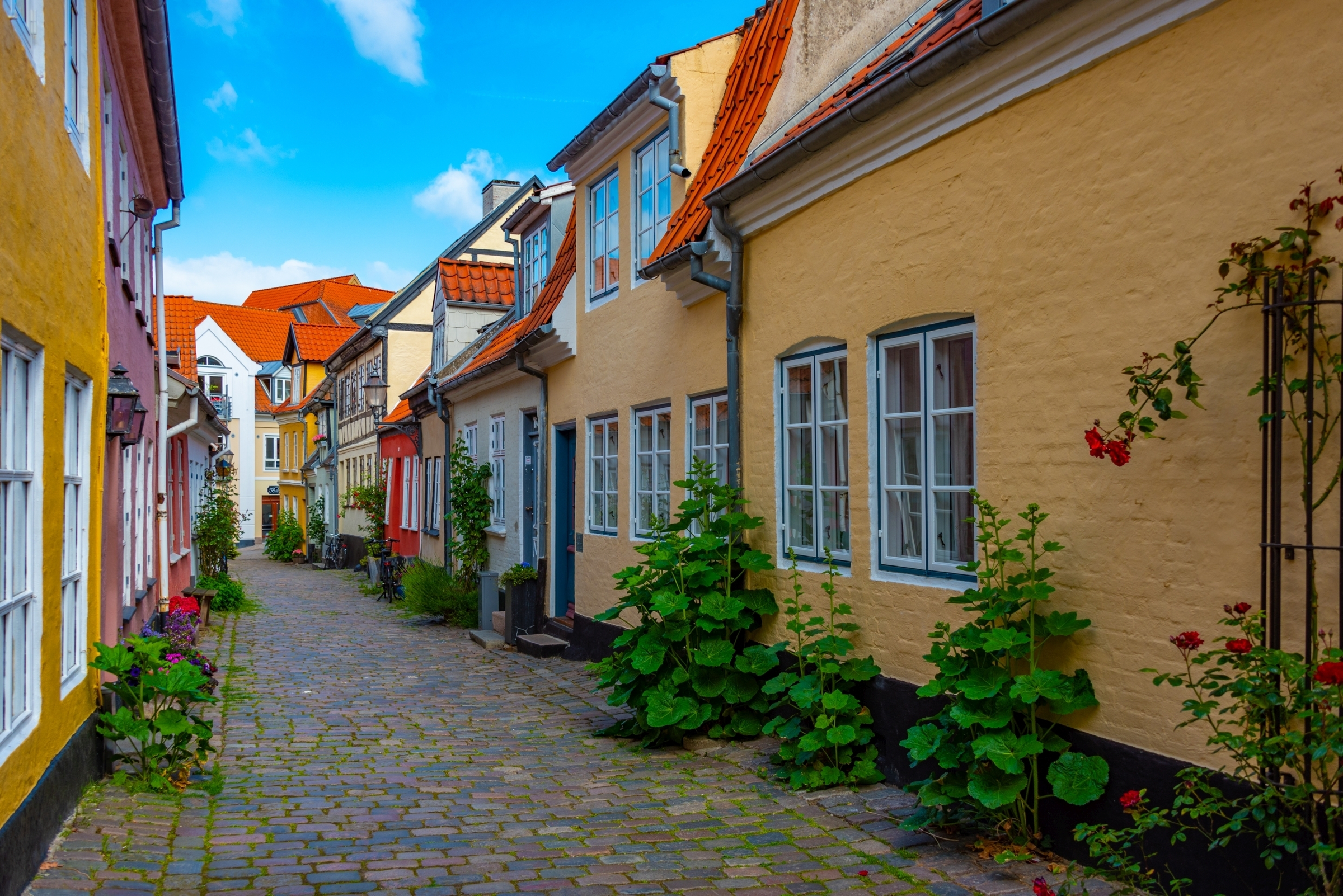 Colorful street in Danish town Aalborg.