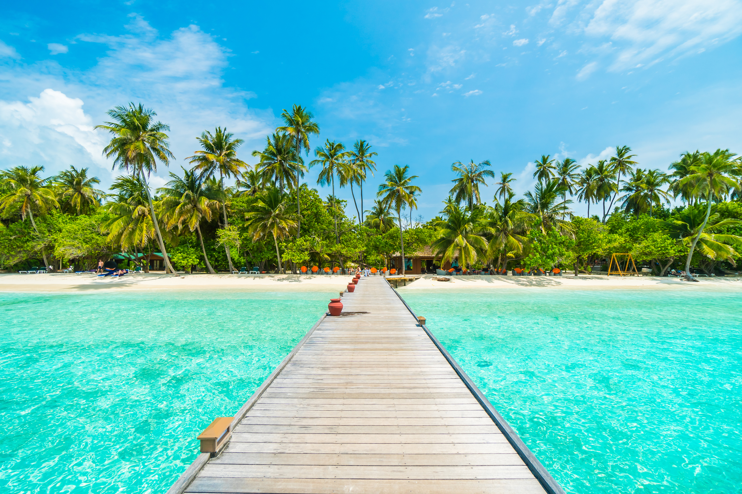 Beautiful tropical Maldives island with beach , sea , and coconut palm tree on blue sky for nature holiday vacation background concept -Boost up color Processing