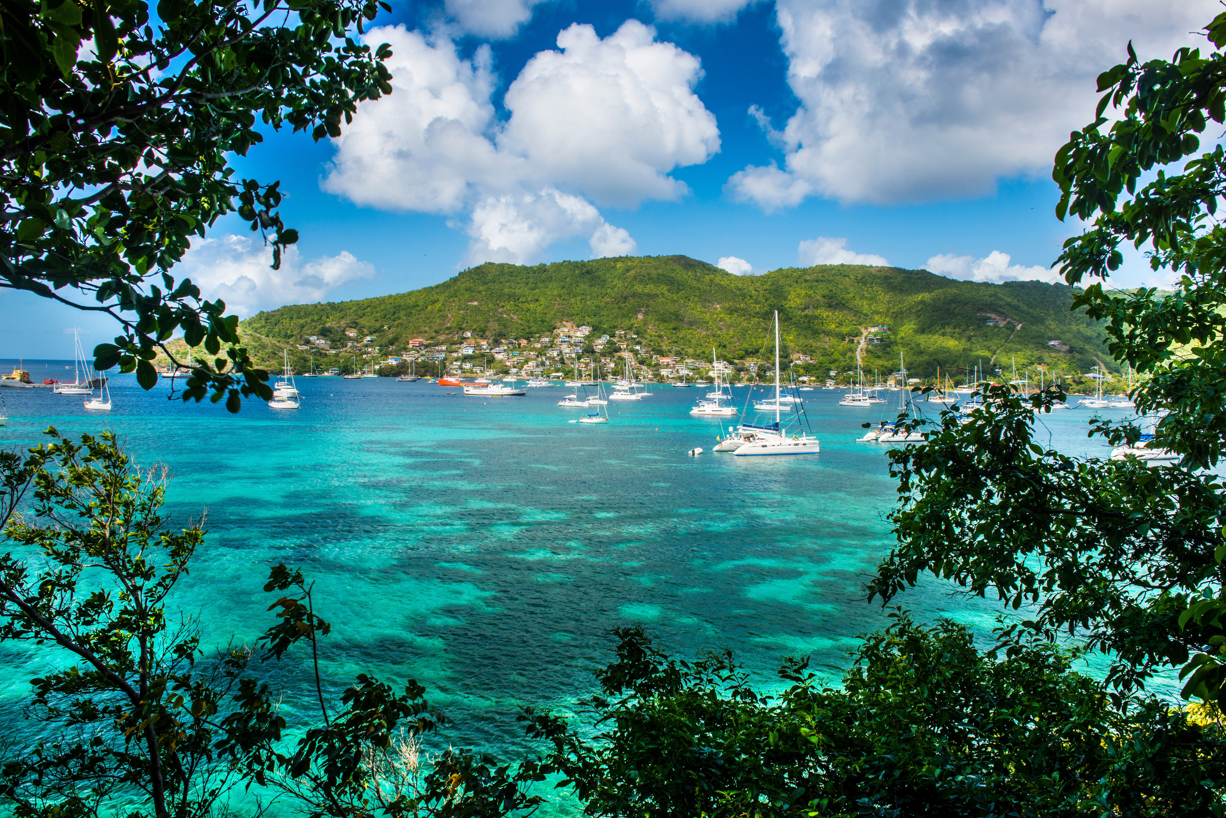 Sailing boats anchoring in Port Elizabeth, Admiralty Bay, Bequia, The Grenadines, St. Vincent and the Grenadines, Windward Islands, West Indies, Caribbean, Central America