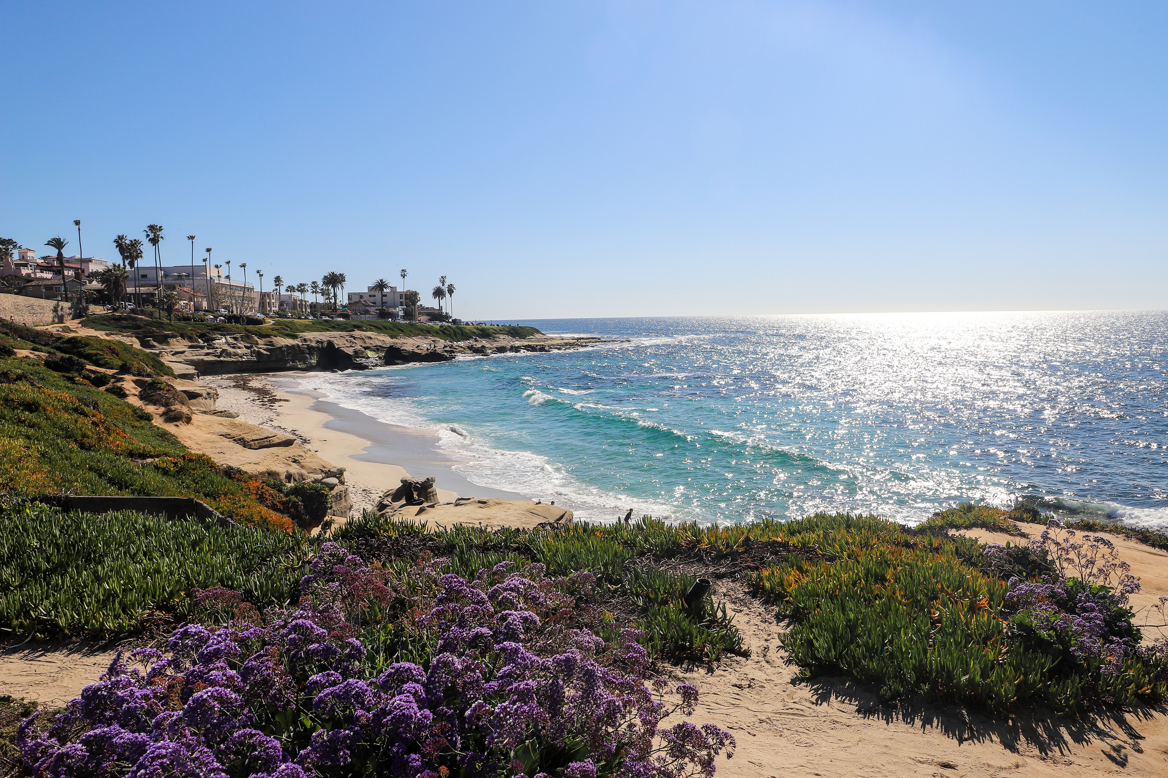 San Diego, La jolla, monument hill, windandsea beach, beach sunset, California sunrise, coastal landscape, southern California, CA