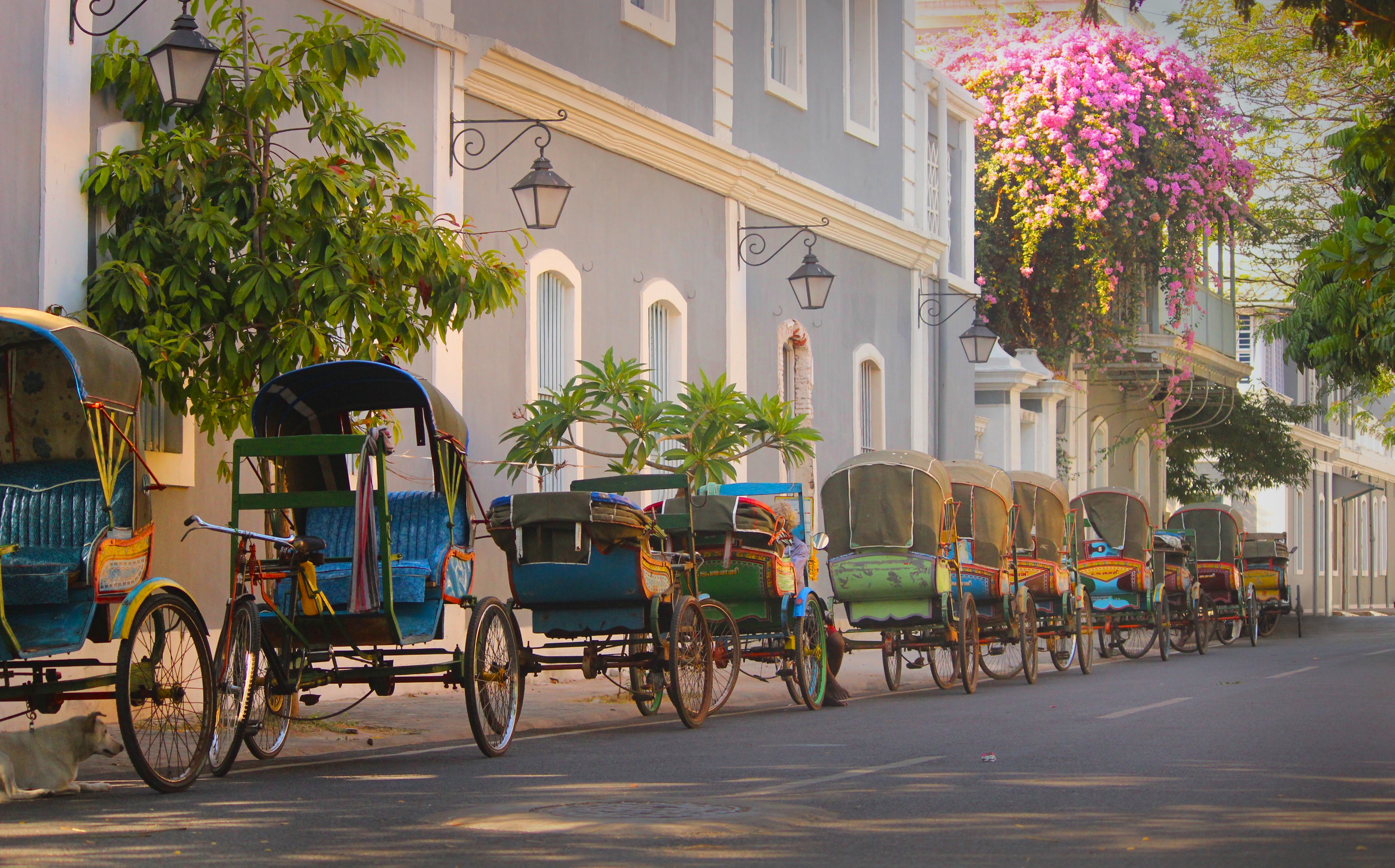 Vintage tricycle carts on French style street at a union territory on south India.