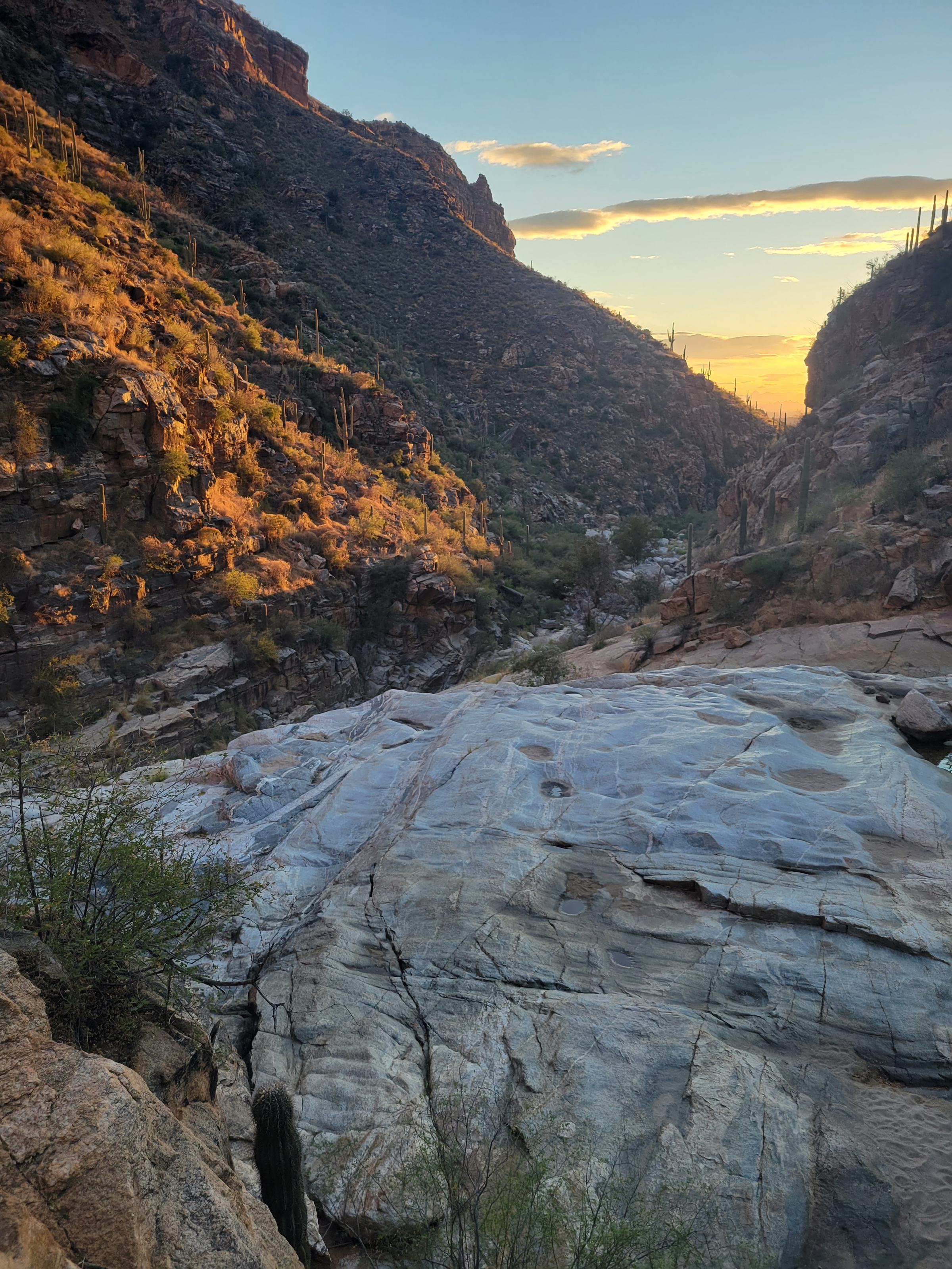 take a rest on the best spots in Tucson hiking paths. 