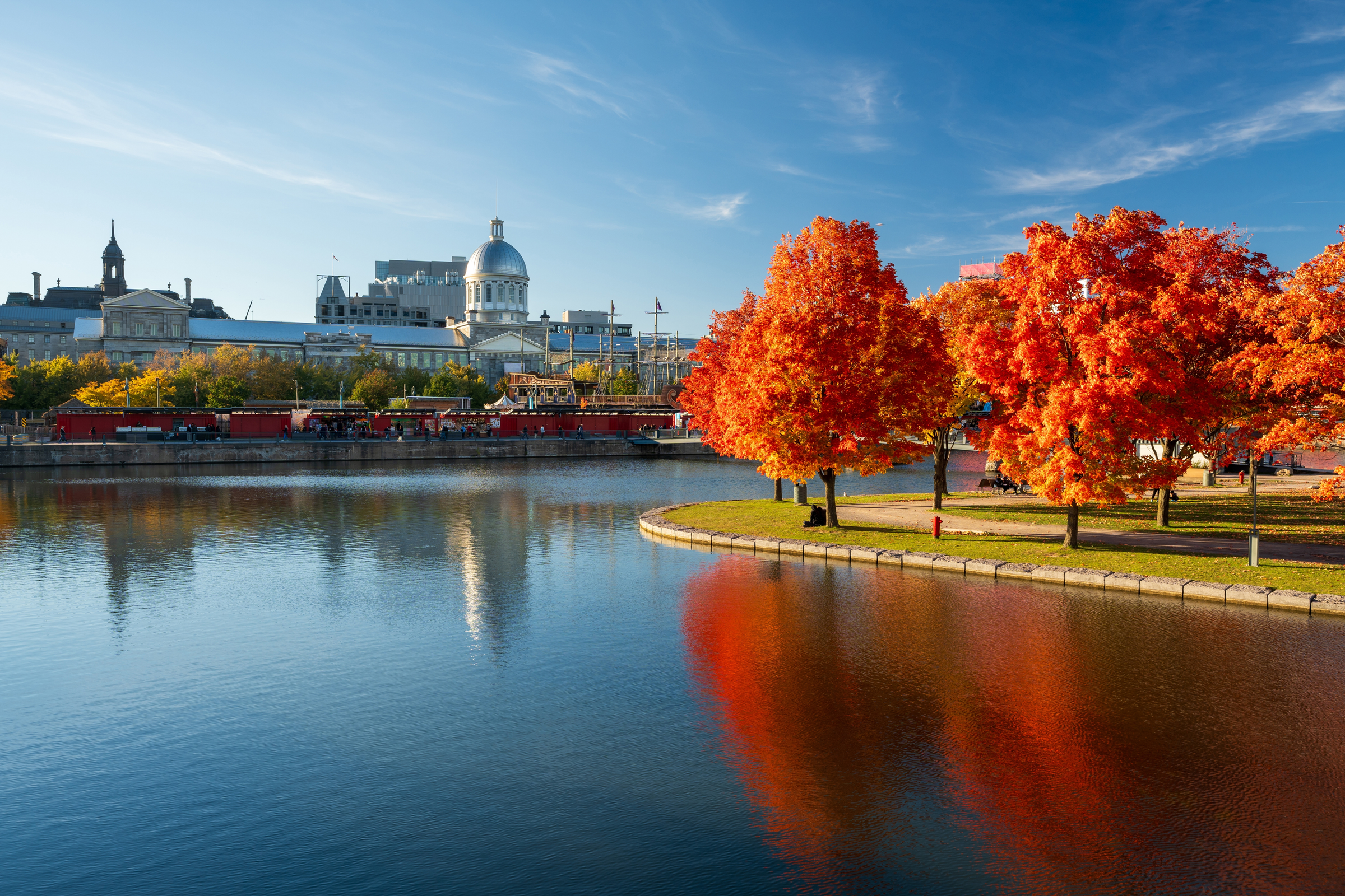 Old Port of Montreal in autumn. Red maples and old Montreal buildings skyline reflected on St. Lawrence River. Fall foliage season in Montreal, Quebec, Canada.