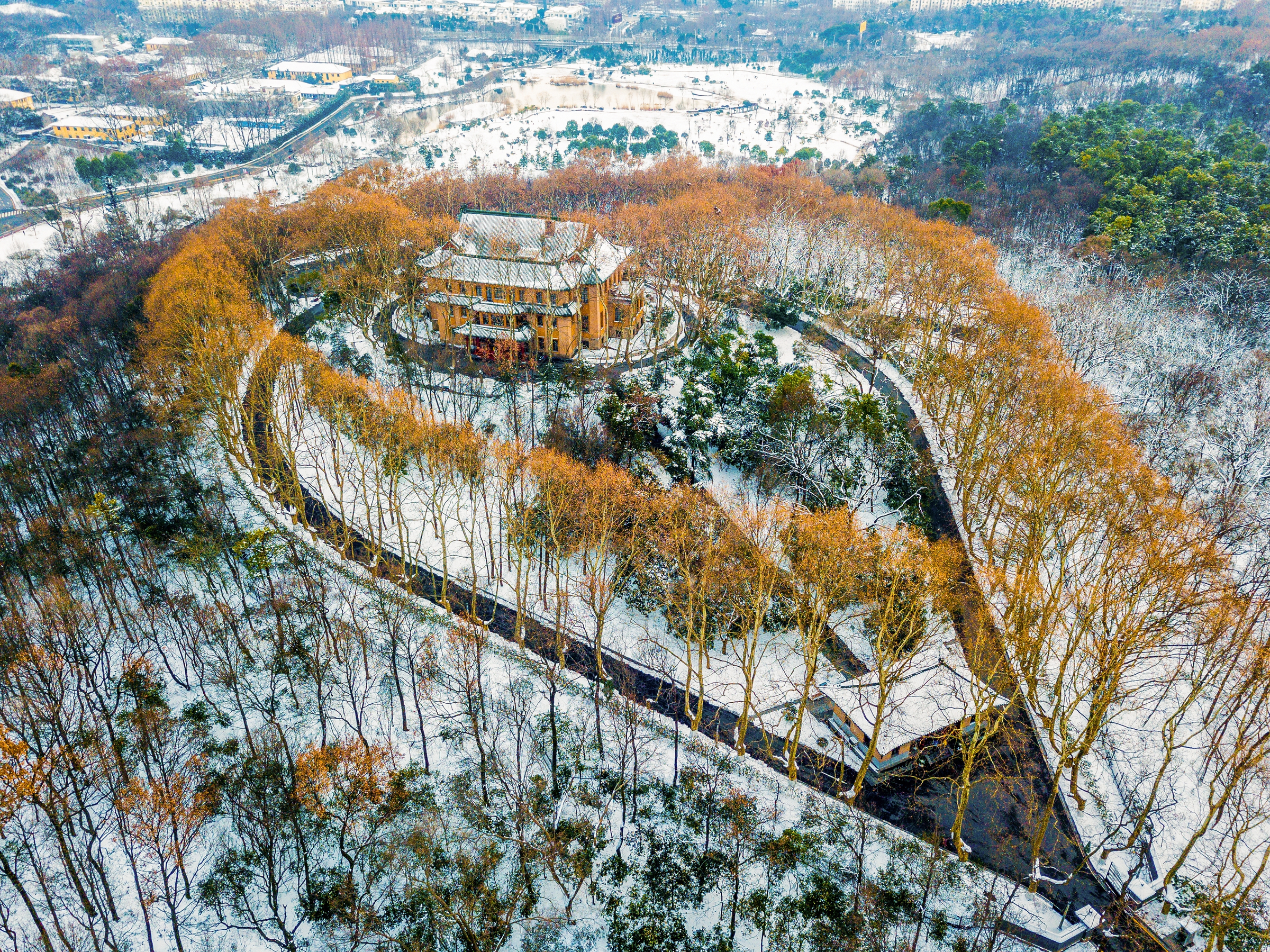 A modern Chinese building surrounded by trees in Nanjing, China, in winter (A local tourist attraction)