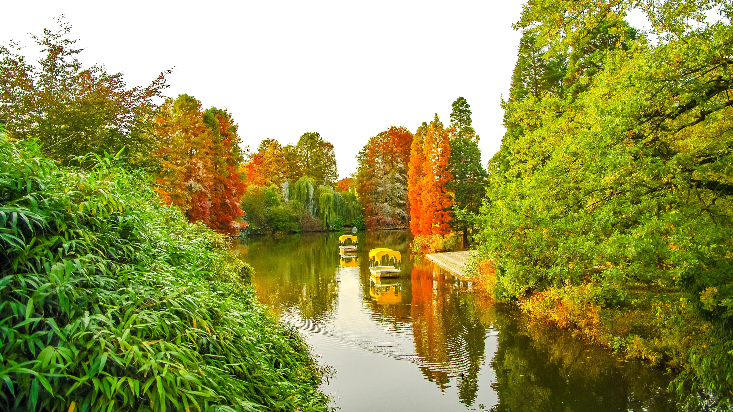 Mannheim, Germany. Park lake, boats and pelicans. Panoramic view over Luisen city park at sunset golden Autumn colors. Cityscape in the historical downtown at sunny day