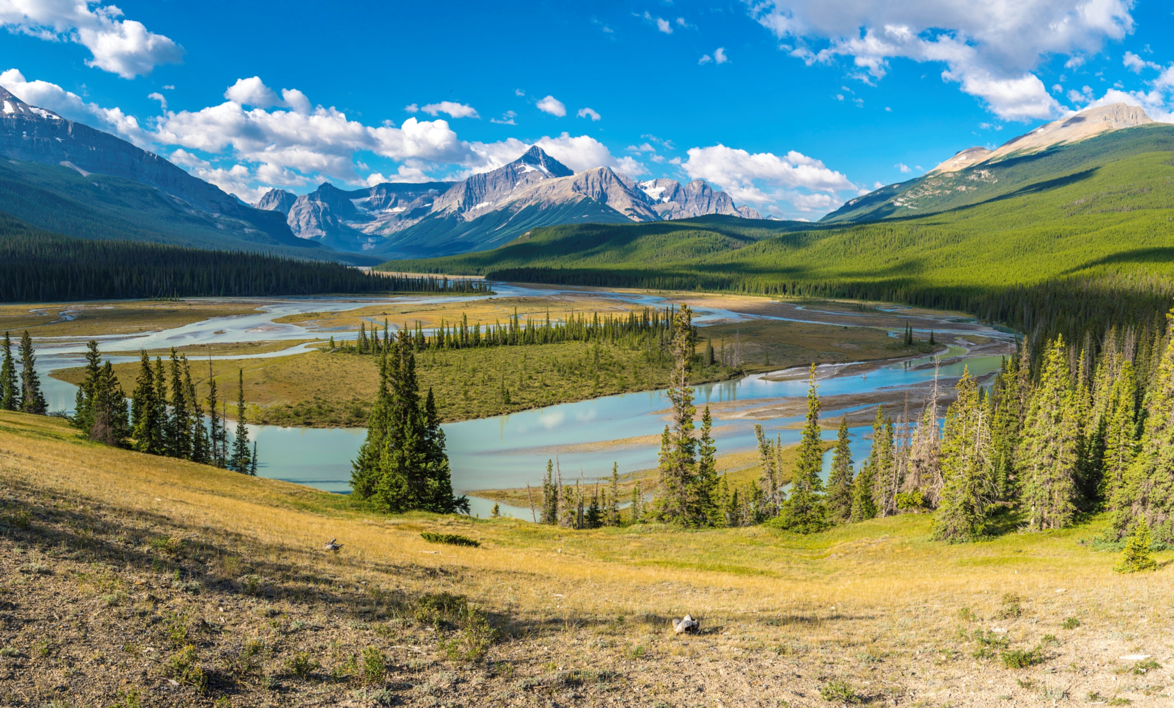 The Howse river valley meeting the North Saskatchewan