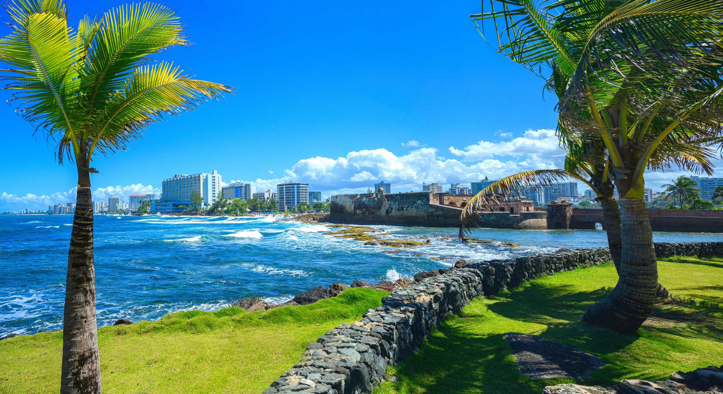 Seascape with Palm Trees, curved volcanic stone walls, green garden, coastal buildings, and floating white clouds at Sunrise in San Juan, Puerto Rico, tranquil beauty on Condado Beach