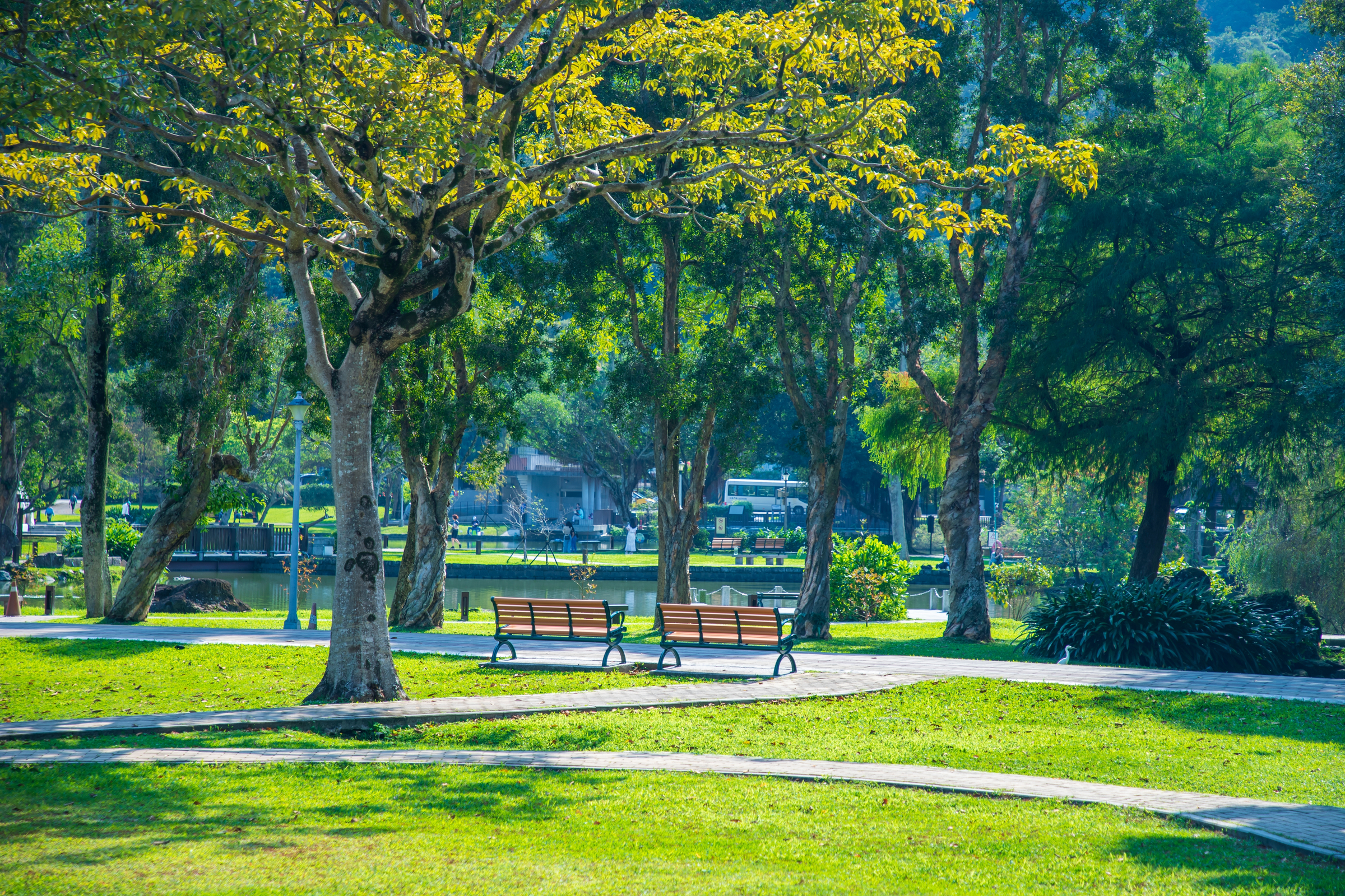 Dahu Park is located in Neihu District, Taipei City, a waterscape park with a large lake, close to the MRT Wenhu Line Dahu Park Station.