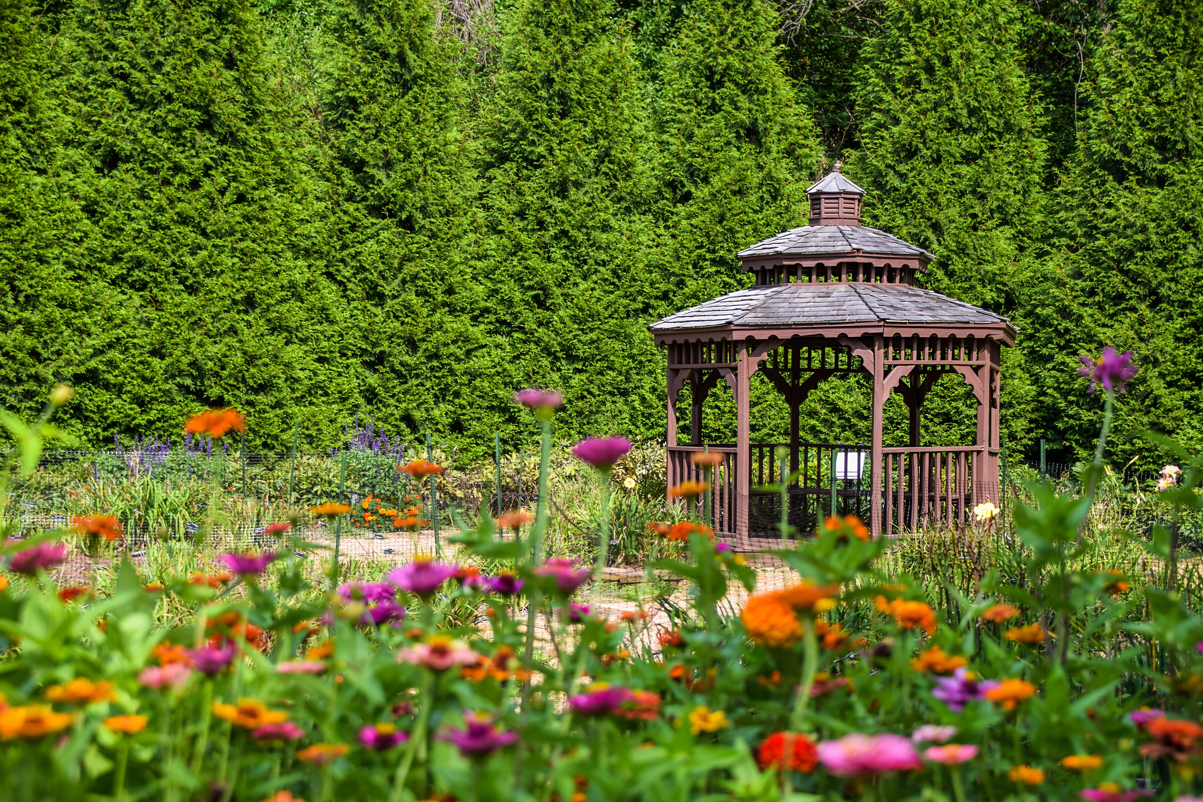 Pretty scene in Springfield, Missouri at the Nathanael Greene Memorial Park.