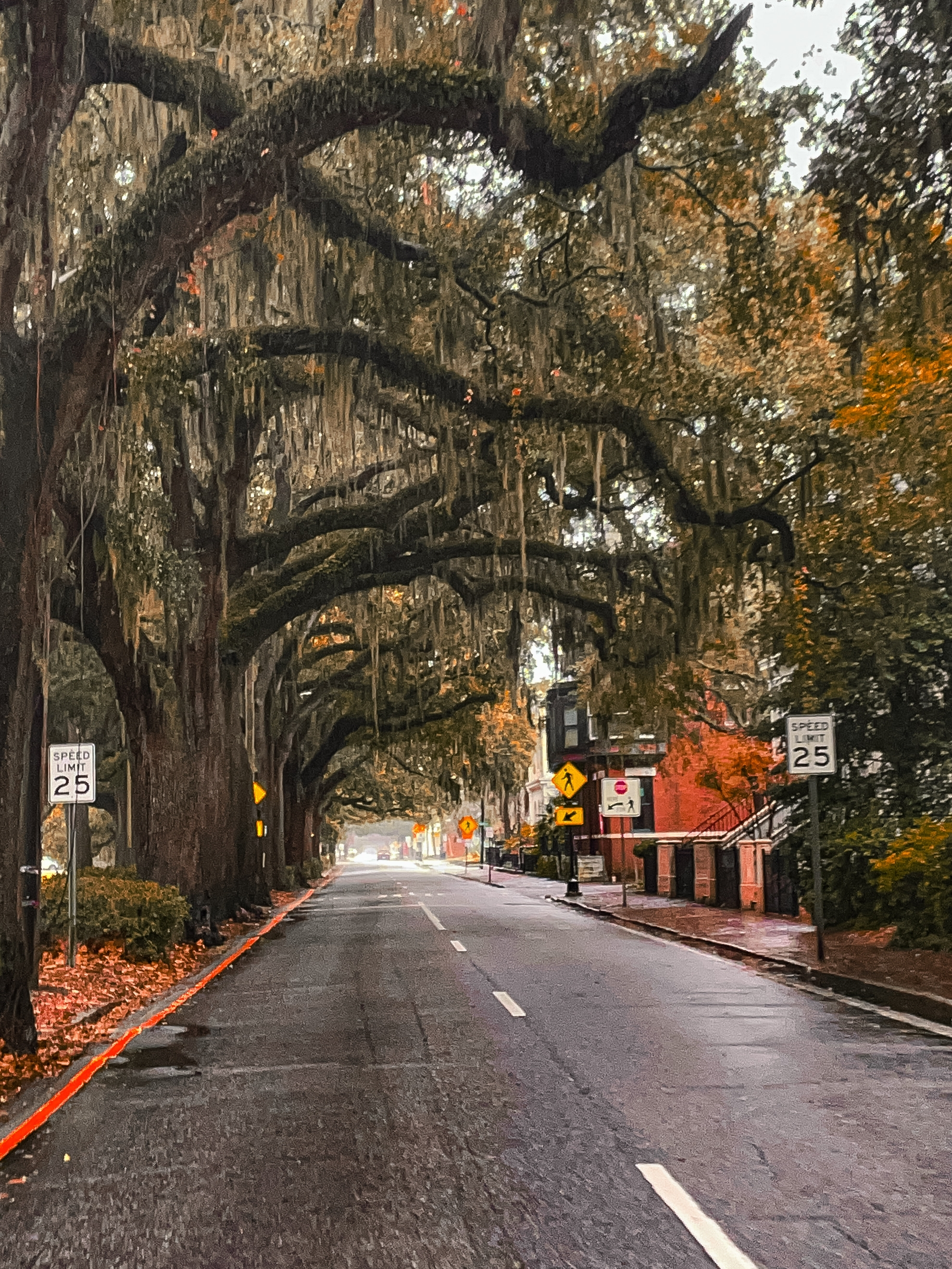 Savannah street in the rain