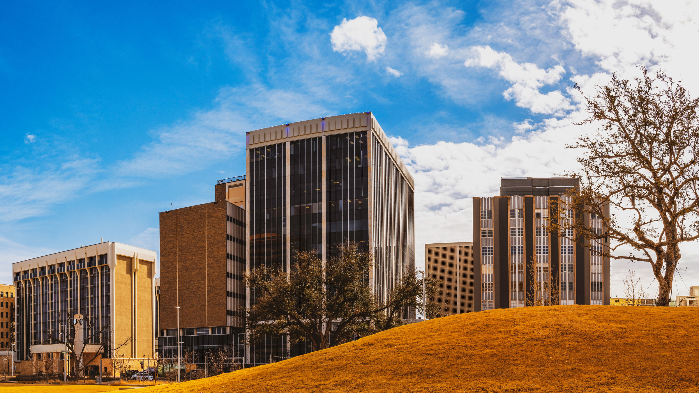 Panoramic Midland Texas city skyline and downtown skyscrapers over the golden grass hill and welcoming tree at the Centenial Park, Dramatic cloudy blue sky backgrounds