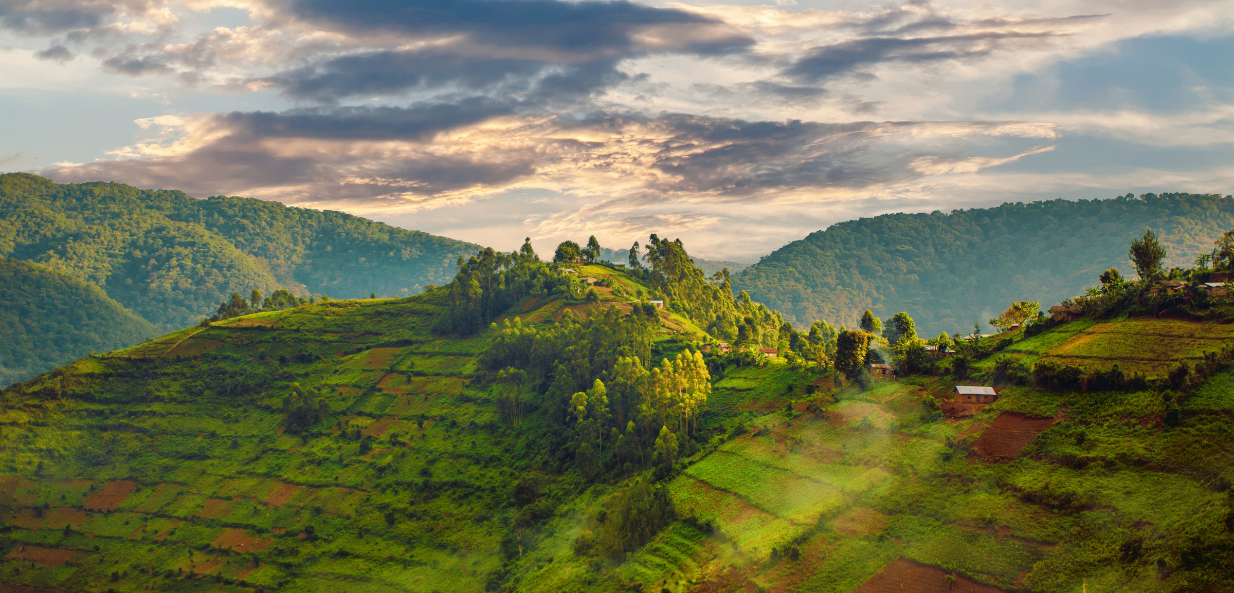 Beautiful landscape in southwestern Uganda, at the Bwindi Impenetrable Forest National Park, at the borders of Uganda, Congo and Rwanda. The Bwindi National Park is the home of the mountain gorillas.