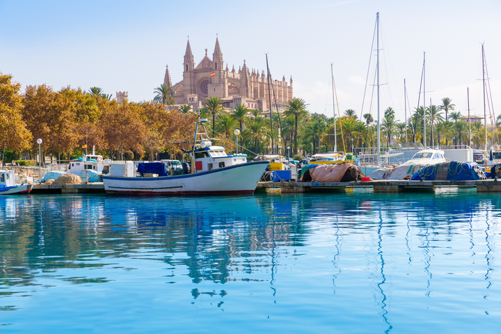 Palma de Mallorca port marina in Majorca with Cathedral church Balearic Islands