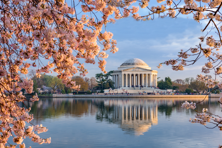 Washington, DC at the Tidal Basin and Jefferson Memorial during spring.; Shutterstock ID 295706903; purchase_order: -; job: -; client: -; other: -