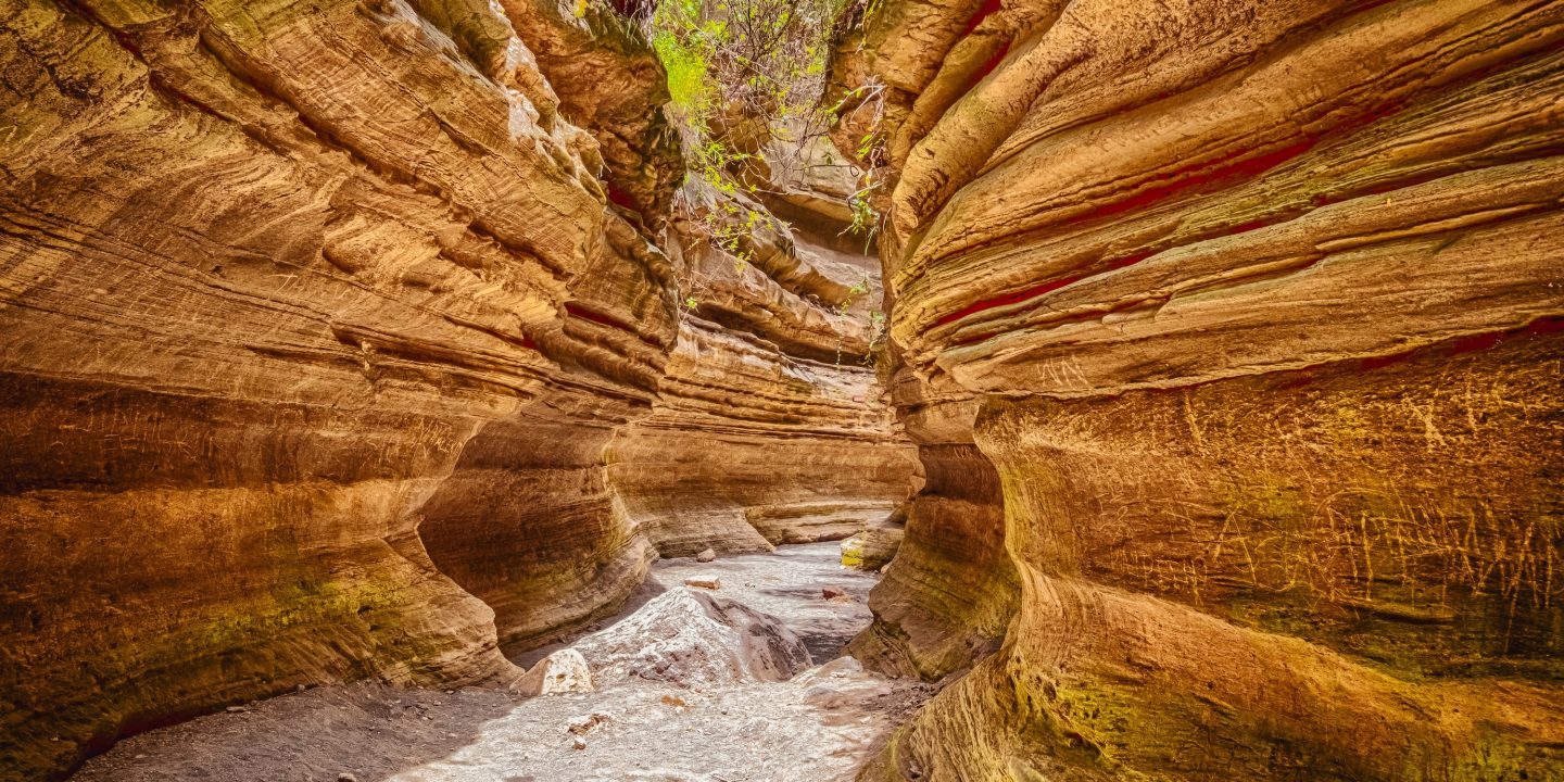 Water erosion physiognomy